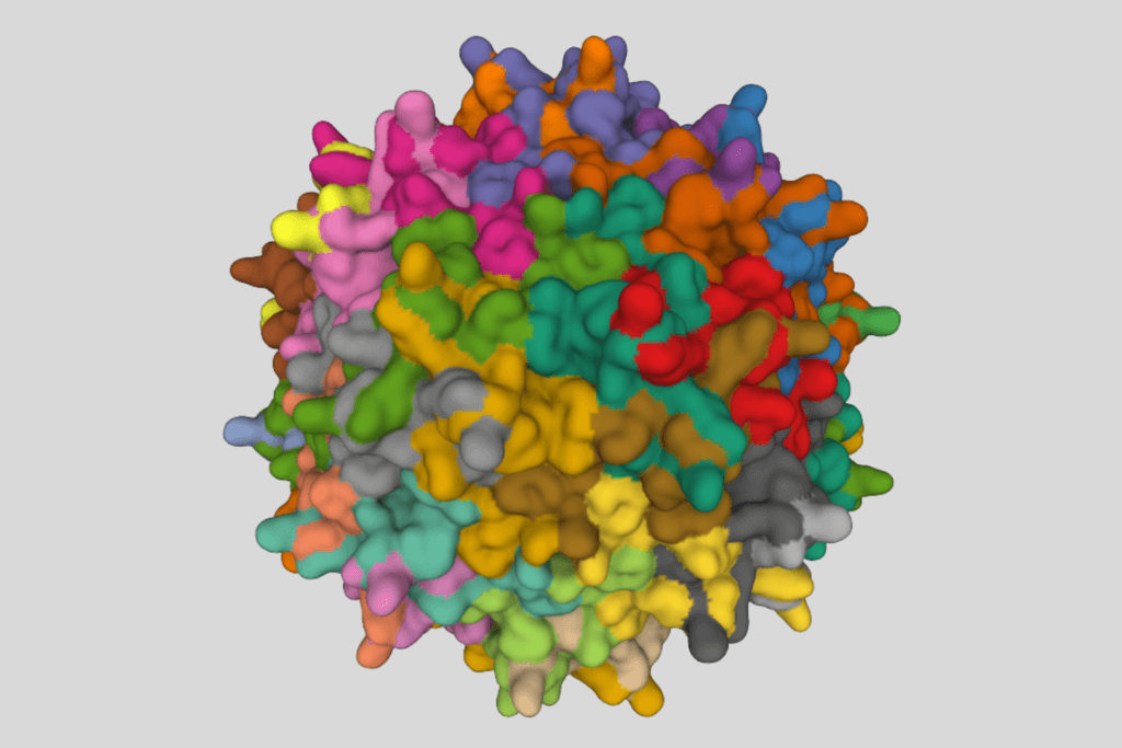 AAV challenges. Liver Toxicity. Tumorigenesis.